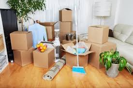 Move-In/Move Out Cleaning