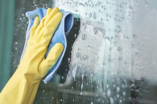 Security Window Film