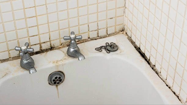 Mold on bathroom grout tiles in a humid Florida home